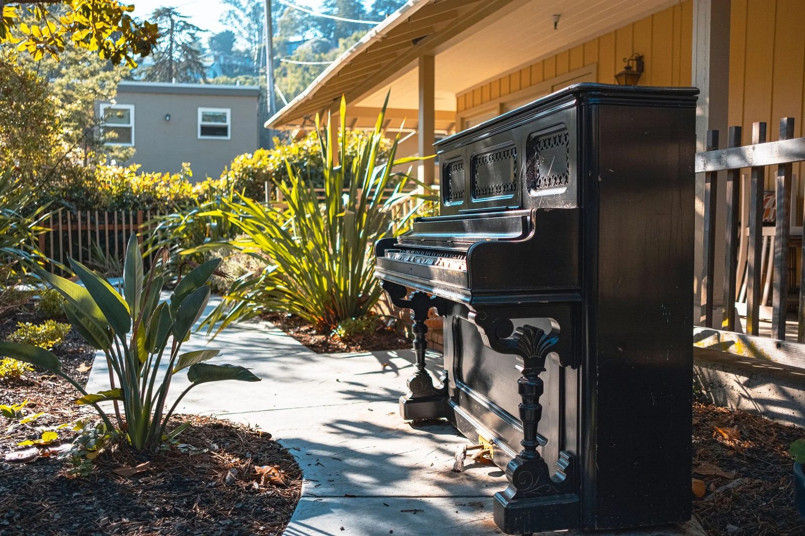 Marin Terrace photo 5
