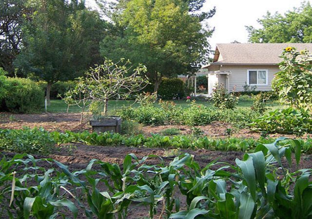 Mt. Vernon Gardens photo 2