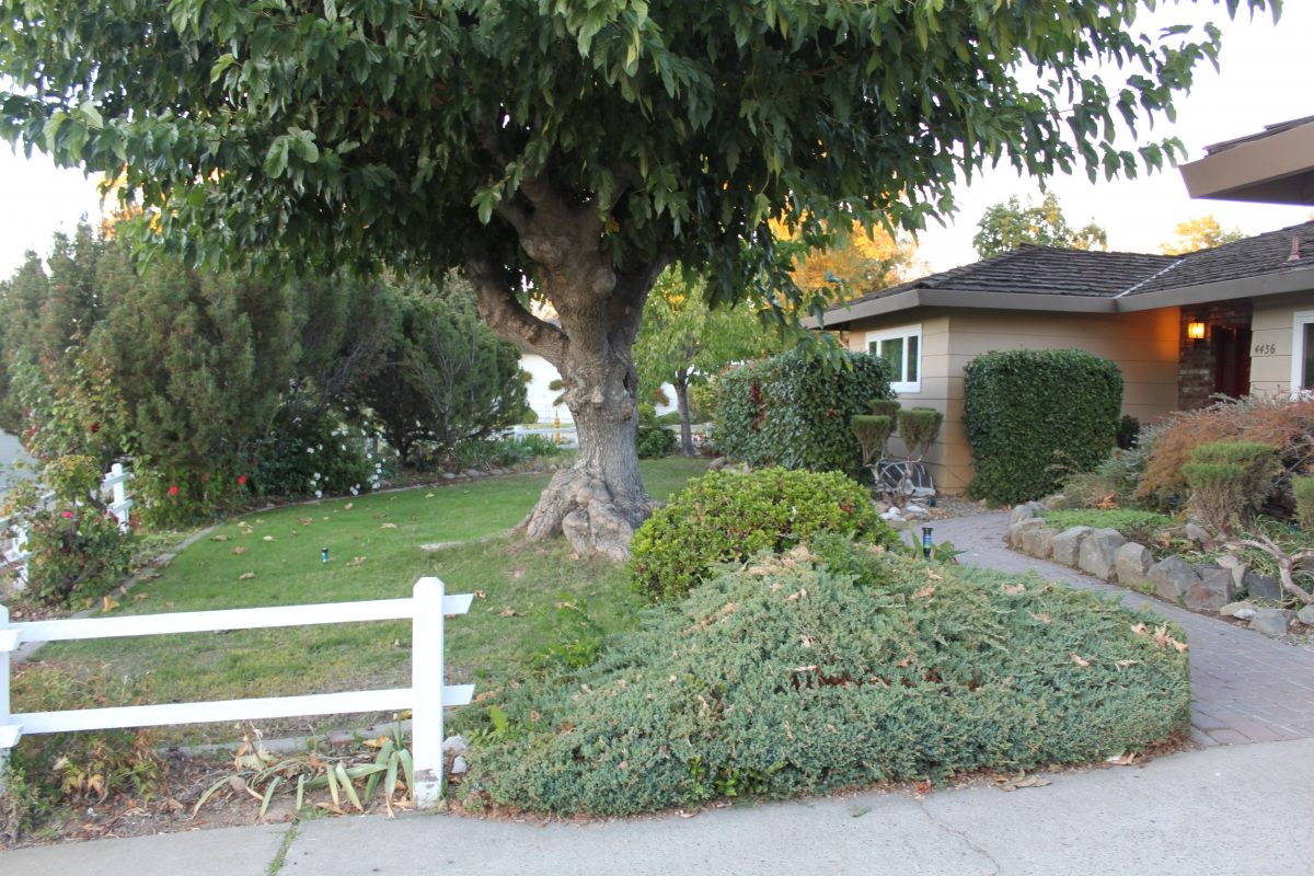 Old Ranch Villa photo 2