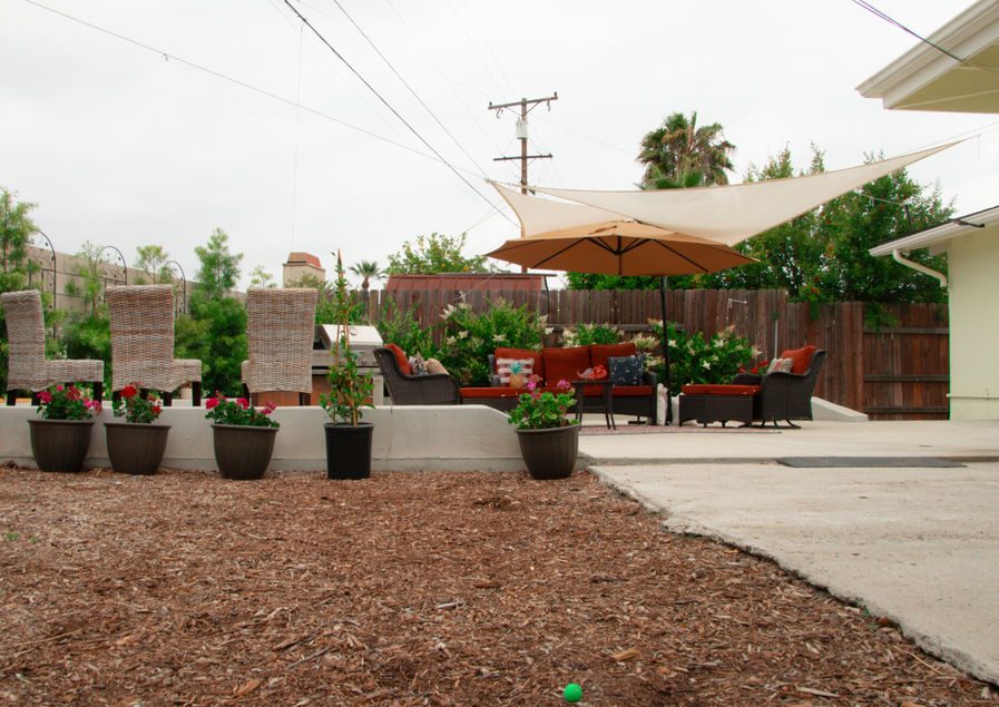 Polly's Place photo 2