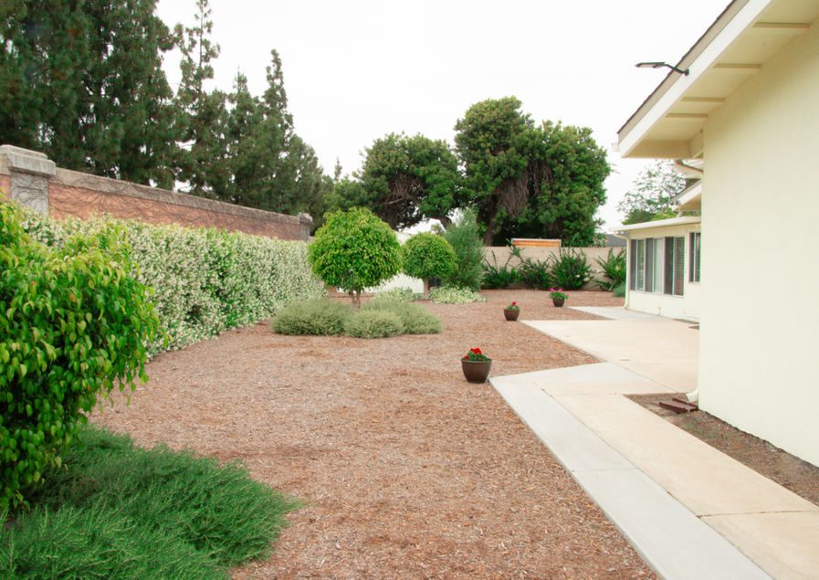 Polly's Place photo 3