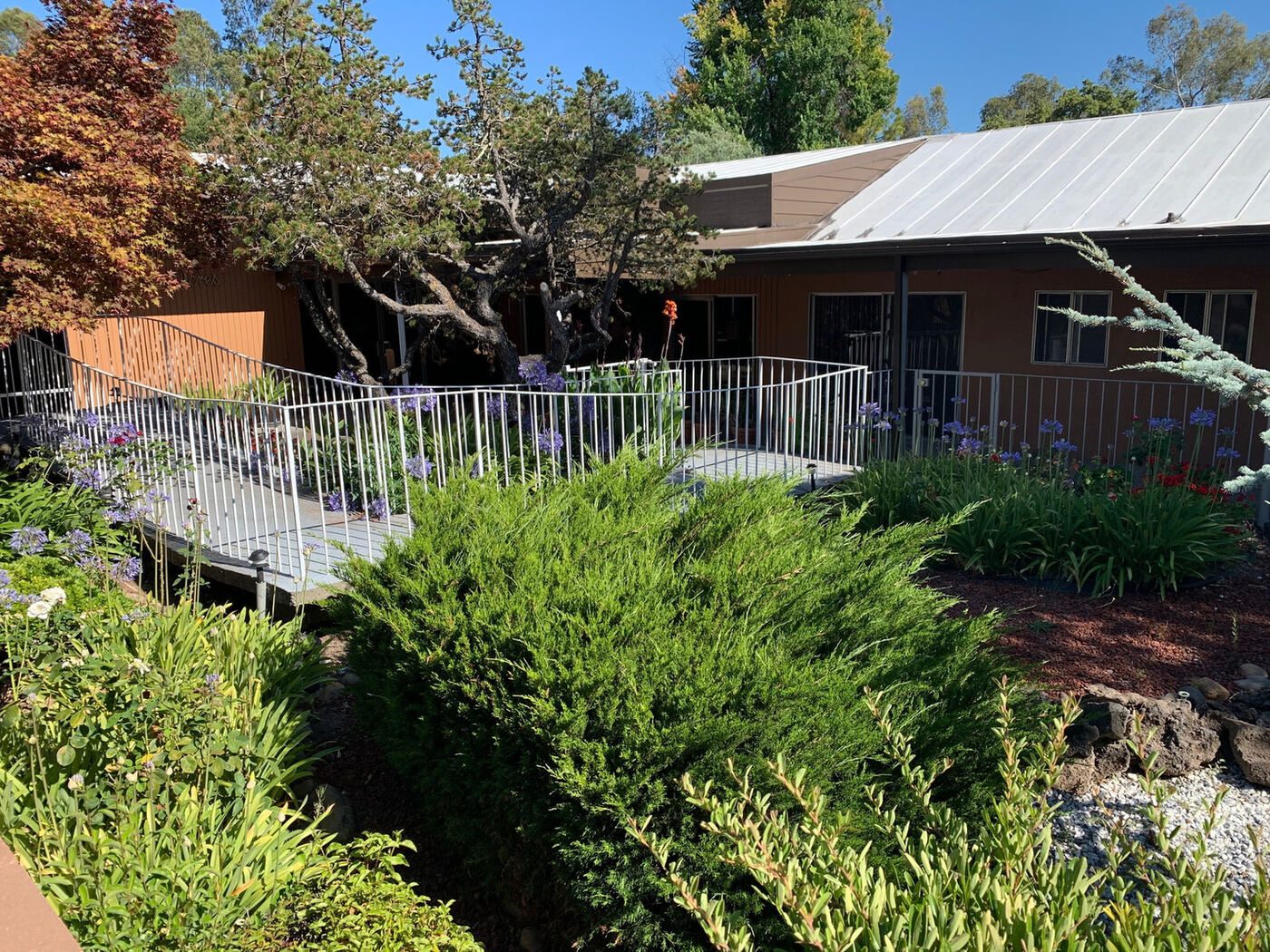 Sonoma Grove photo 1