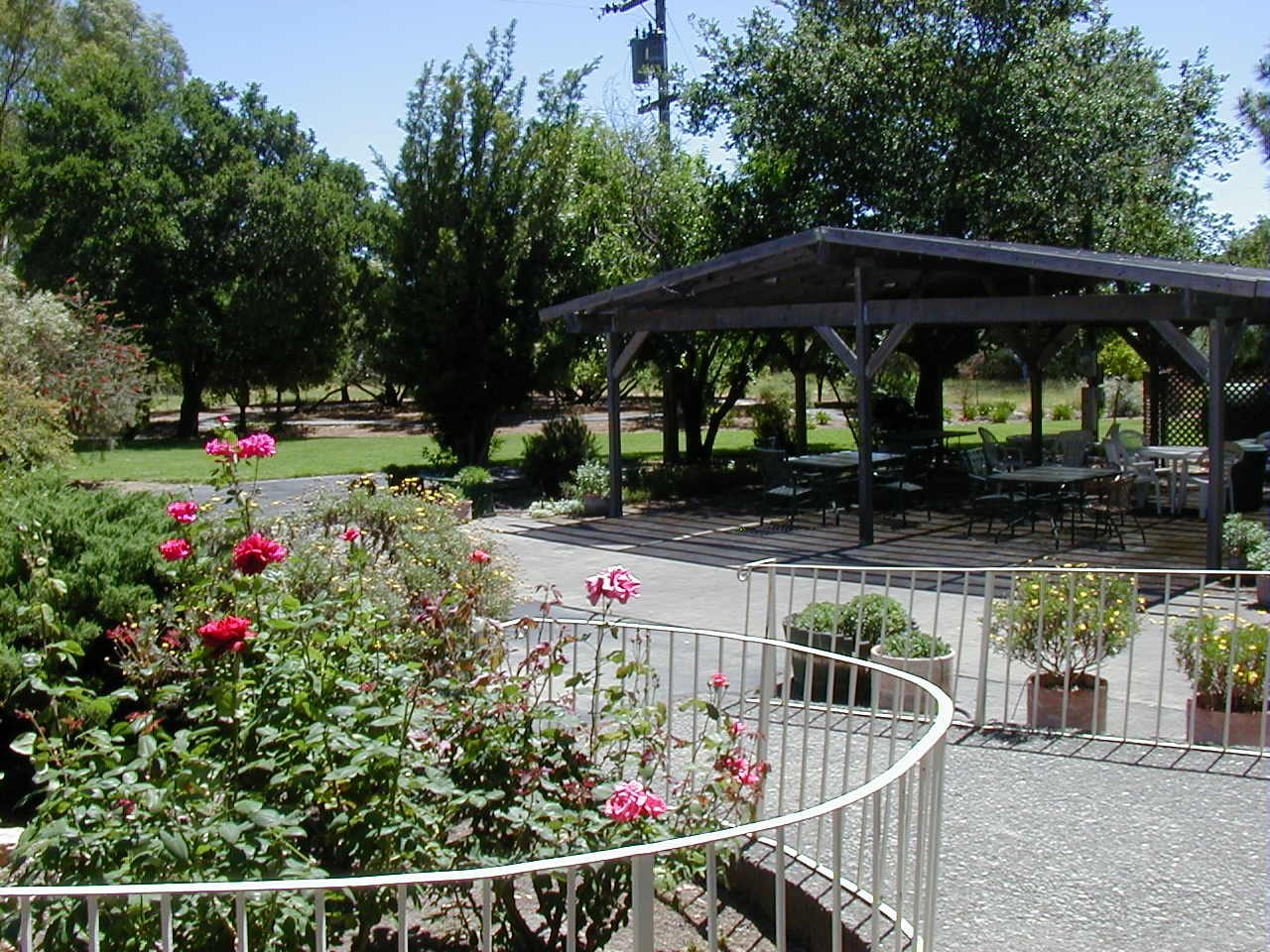 Sonoma Grove photo 2