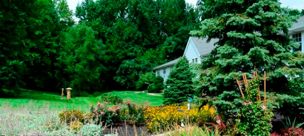 Brookdale Stonestreet
