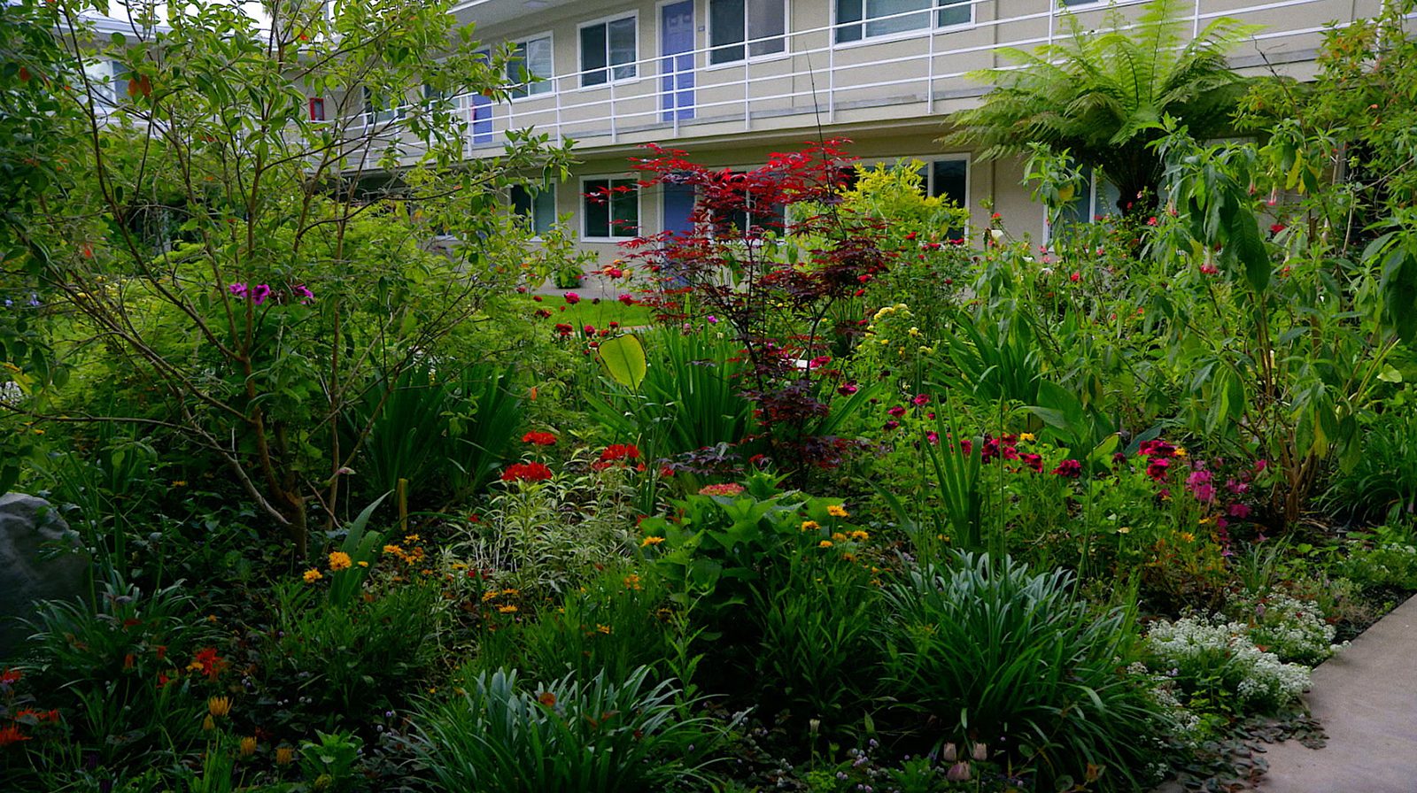 The Village at Sydney Creek photo 2
