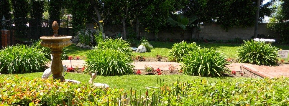 The Villa photo 3