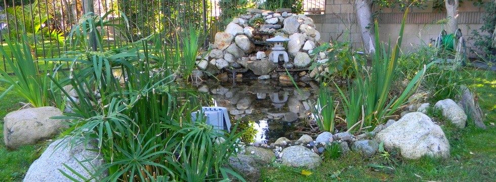 The Villa photo 5