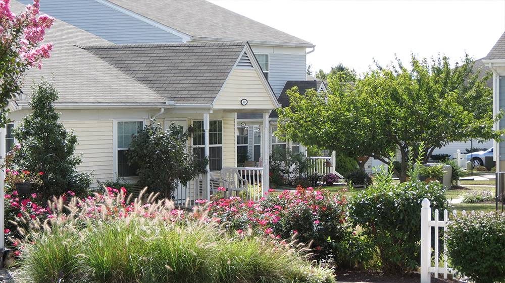 Blossom Place at Edenton photo 6