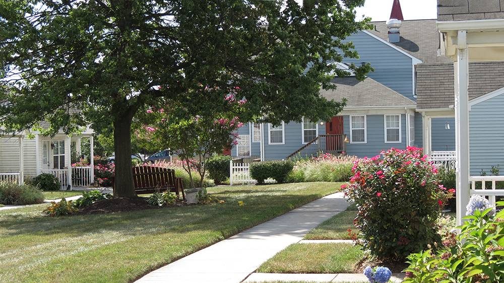 Blossom Place at Edenton photo 7