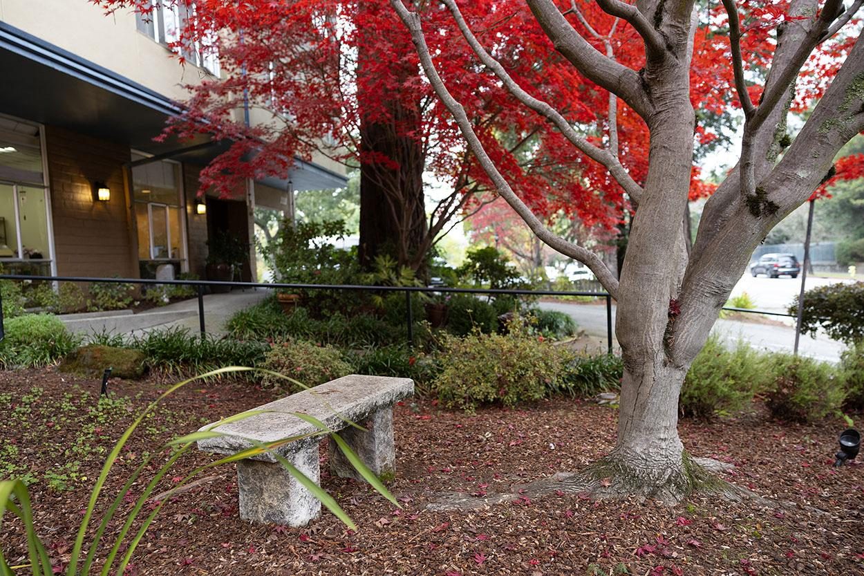Windchime of Marin photo 2