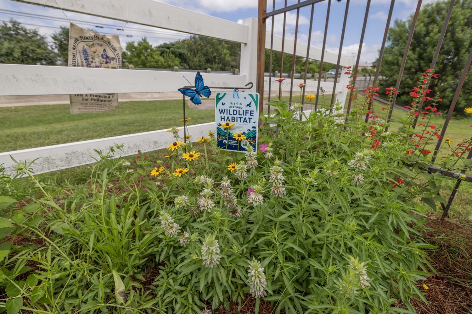 Legend Oaks Healthcare & Rehabilitation of Kyle photo 4