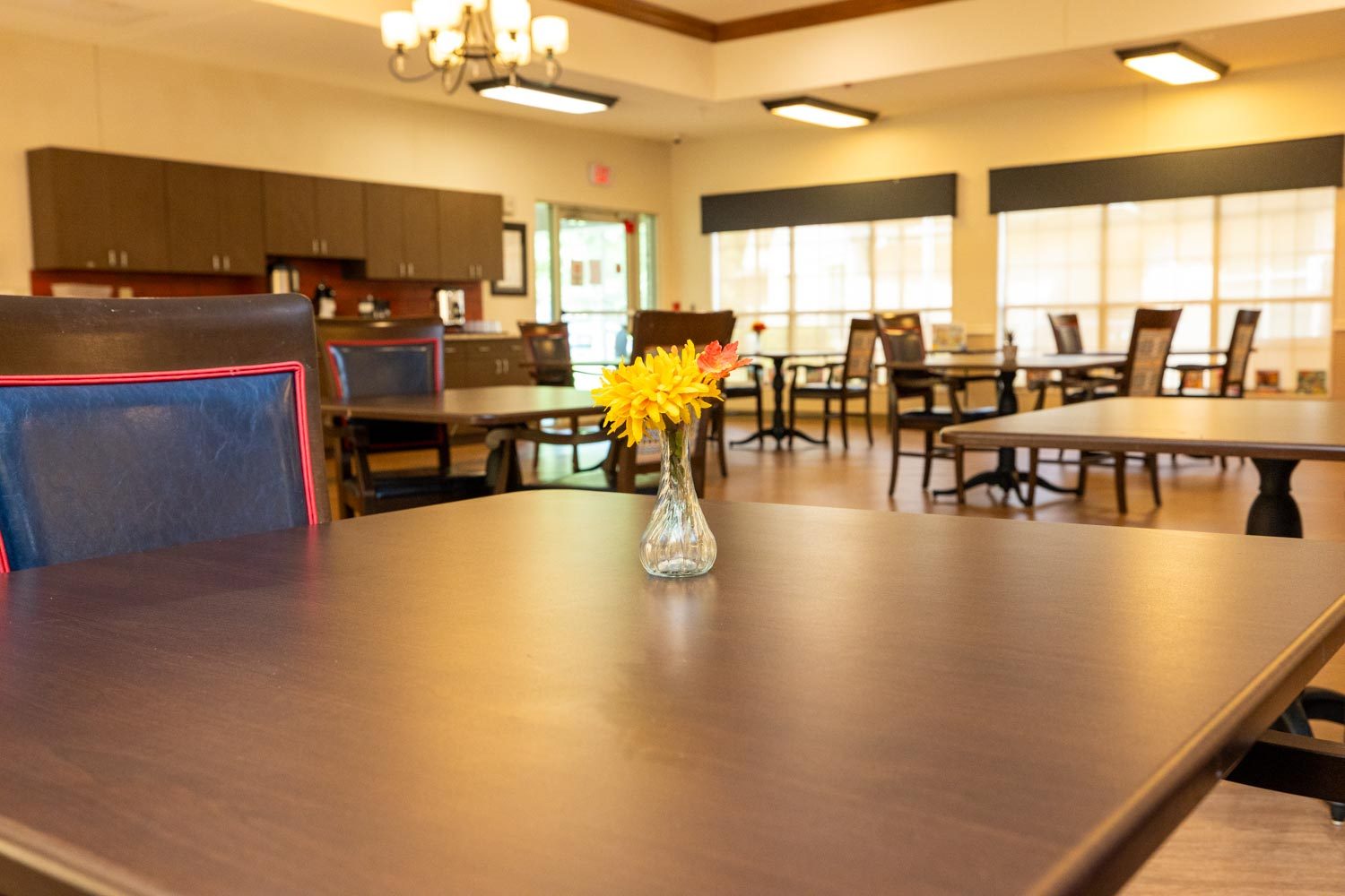 Brodie Ranch Nursing and Rehab Center photo 1
