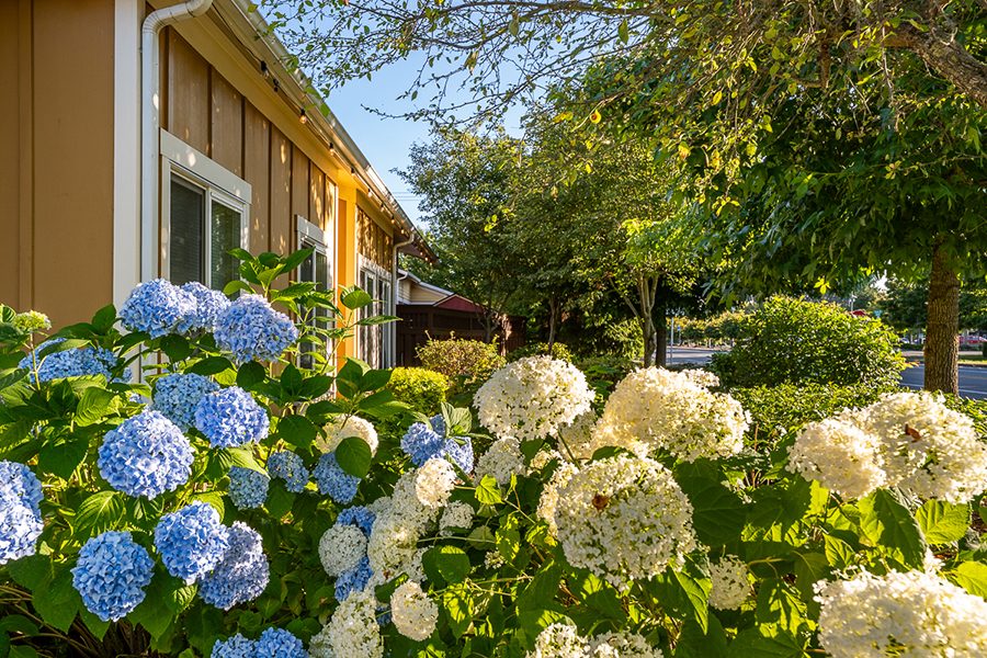 THE COTTAGES AT MARYSVILLE photo 3