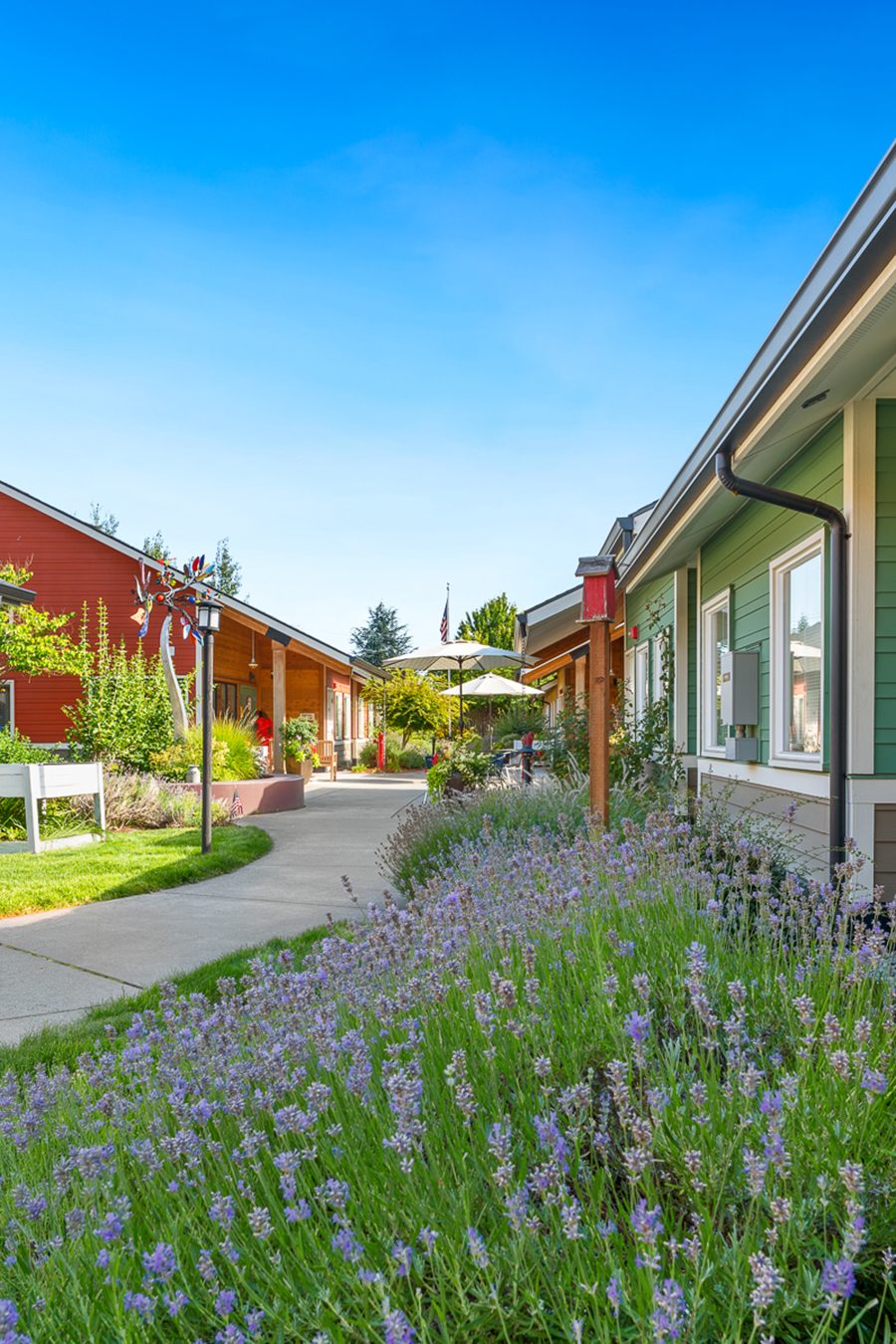 The Cottages at Lacey photo 4