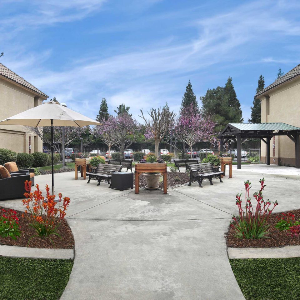 Ivy Park of Roseville photo 3