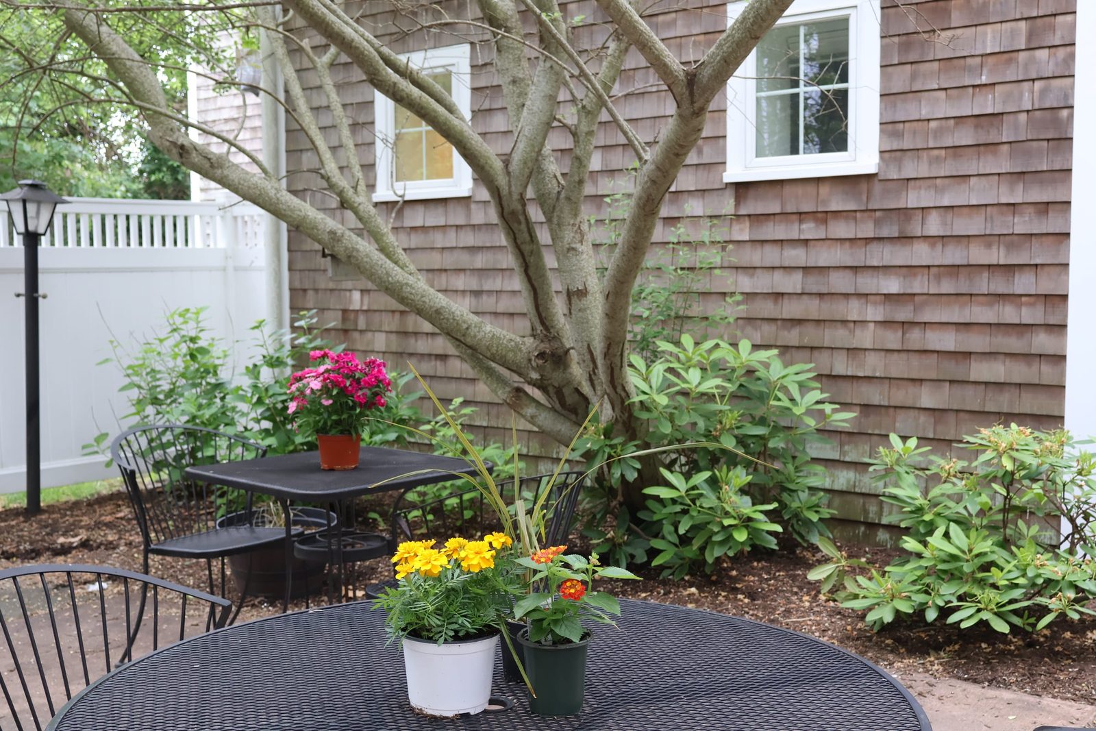 The Woodlands at Pleasant Bay photo 4