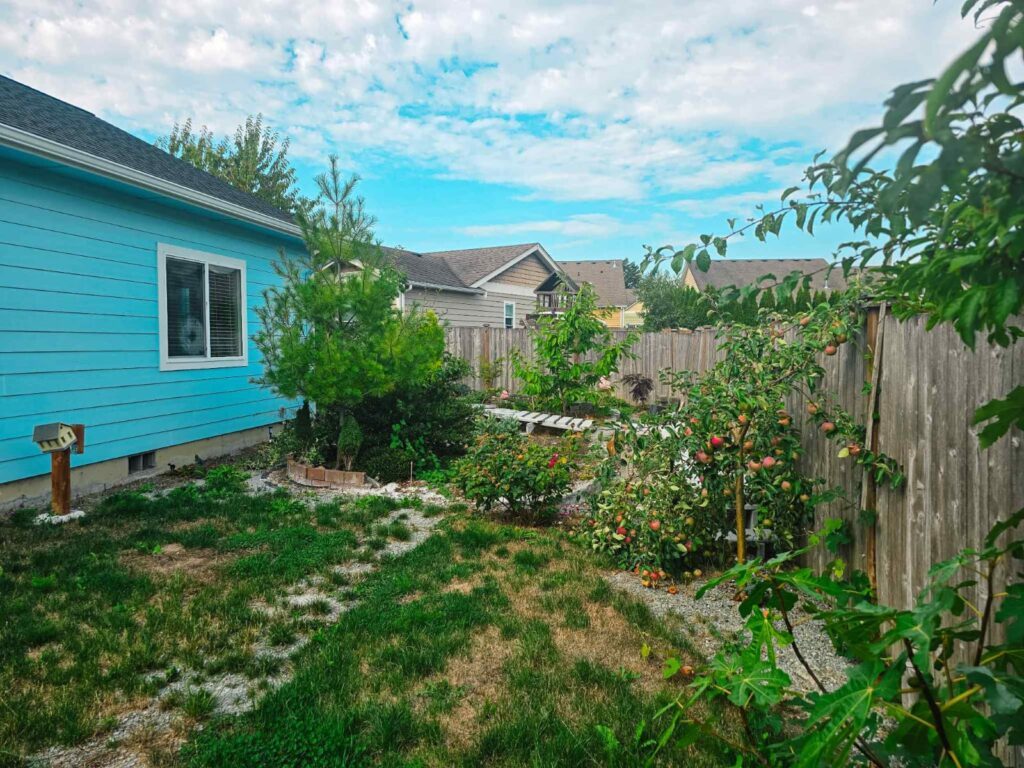 P AND K Haven Adult Family Home LLC photo 3