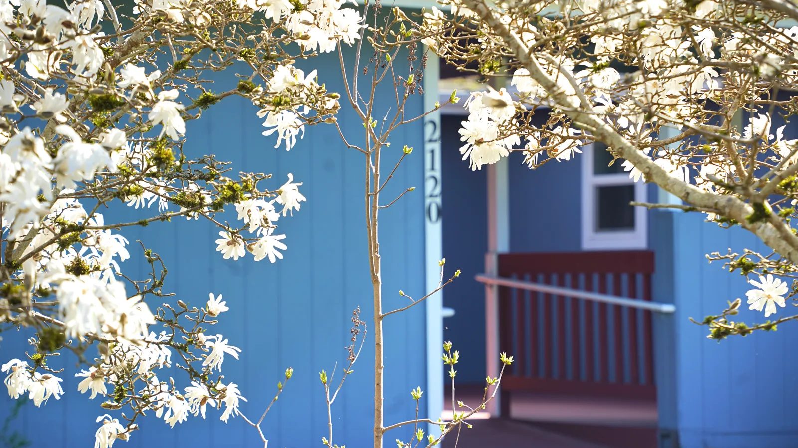 SKAGIT RIVER ADULT FAMILY HOME LLC