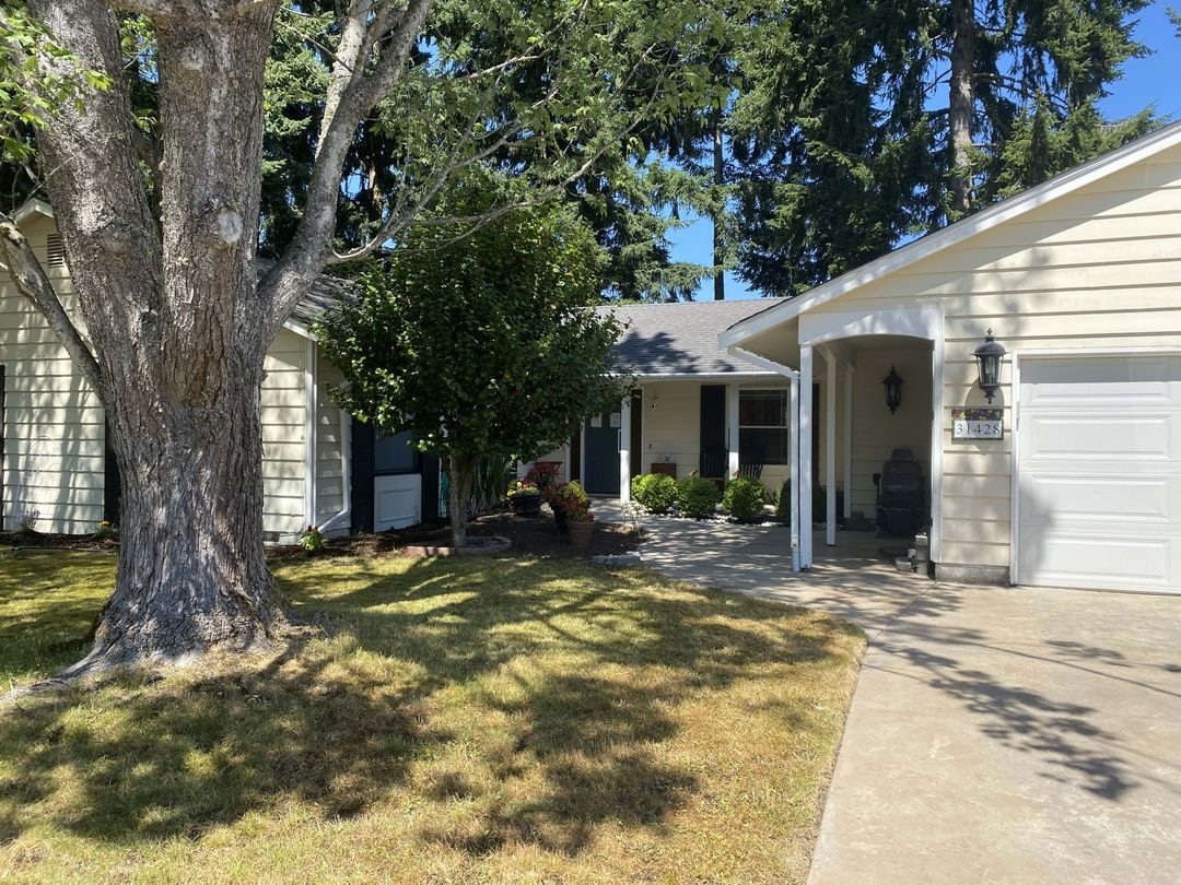 Morning Shine LLC photo 1