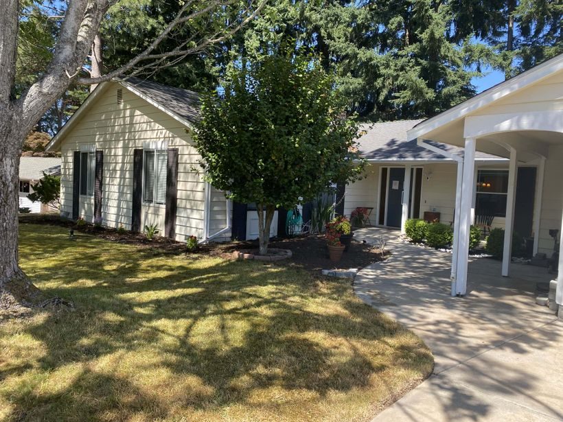 Morning Shine LLC photo 3
