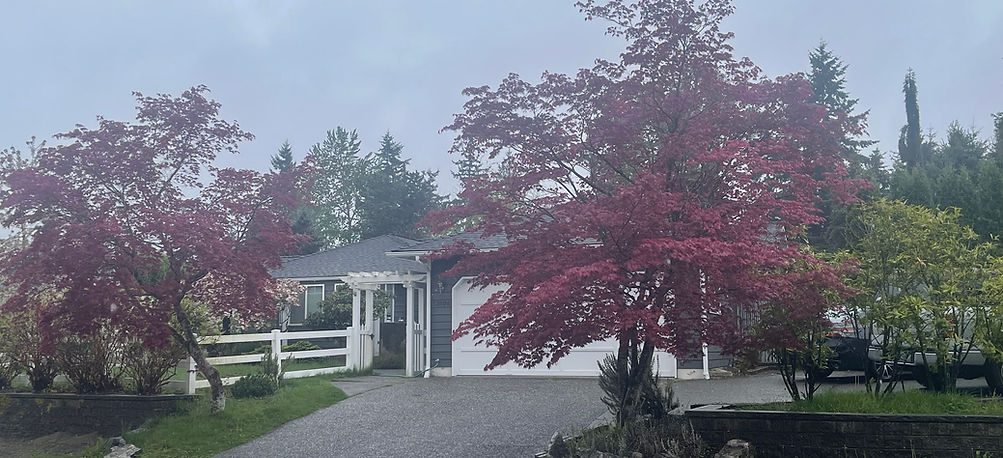 Blue Sky Care LLC photo 1