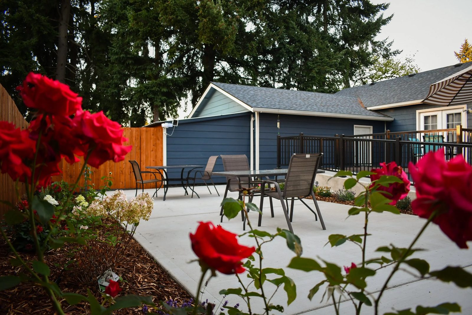 Silver Acres II photo 4