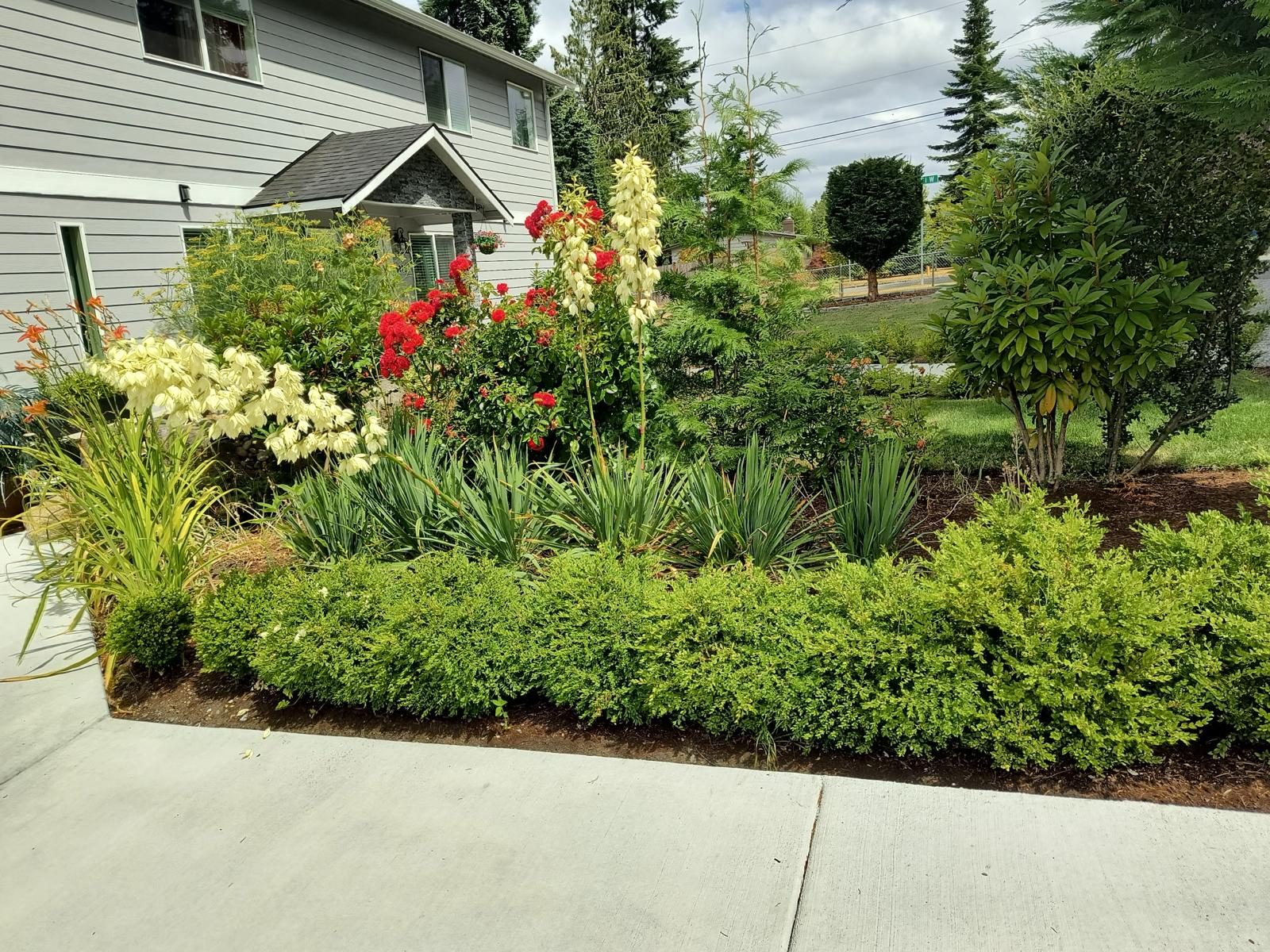 La Serenita Residential Care LLC photo 1
