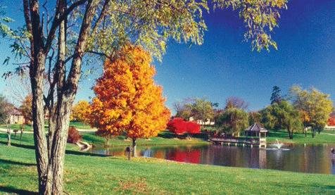 Foxwood Springs photo 2
