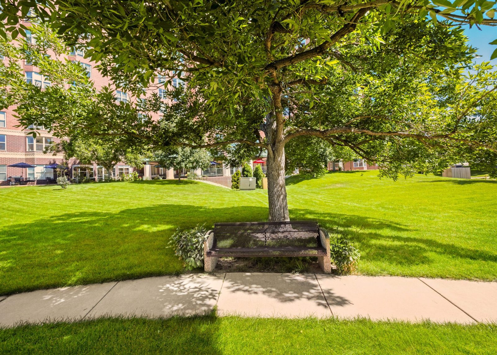 RiverPointe Senior Community Of Littleton photo 2