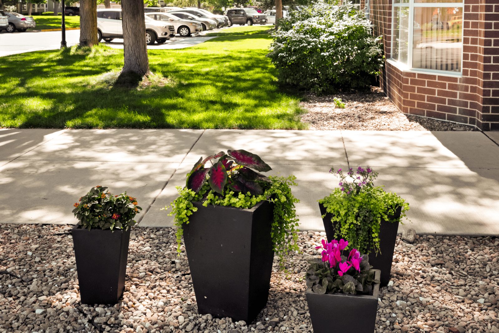 RiverPointe Senior Community Of Littleton photo 4