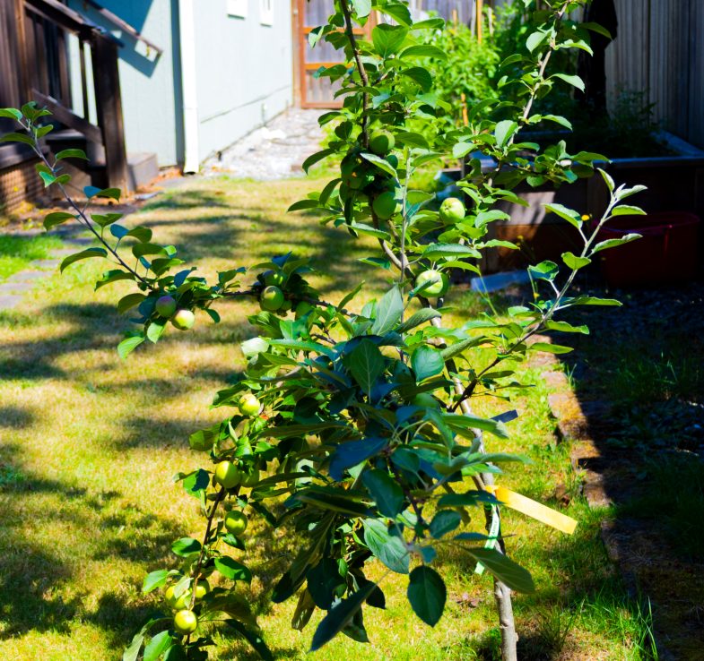 BLETAM HOMECARE AFH LLC photo 1