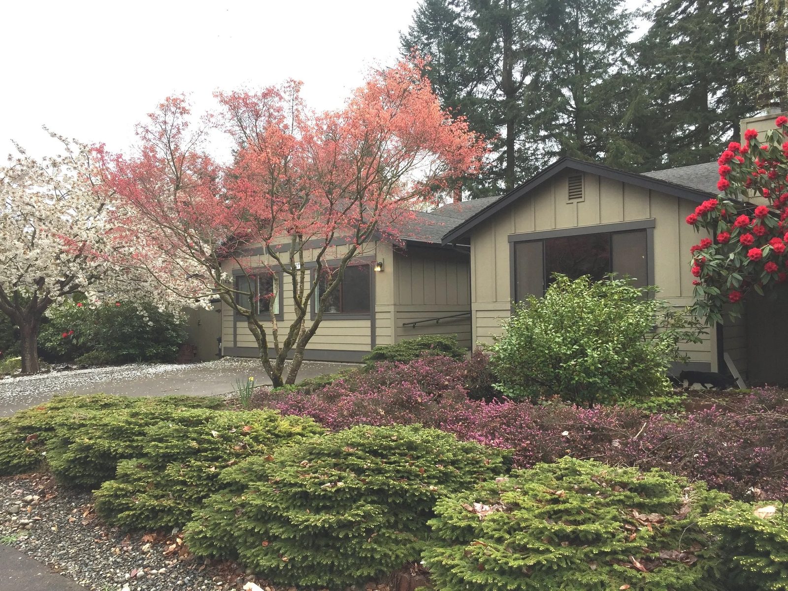 Brooks Blessings West Olympia photo 2