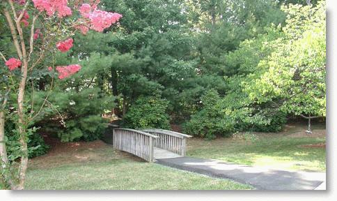 Brookdale Asheville Overlook photo 2