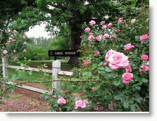 Carol Woods Retirement Community