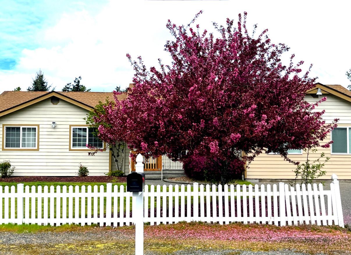 Angels Given Adult Family Home LLC photo 1