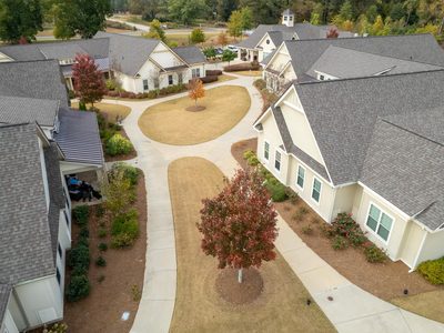 Camellia Place