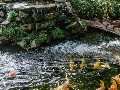Banyan Residence Assisted Living LLC