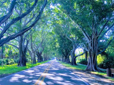Discovery Commons Hobe Sound