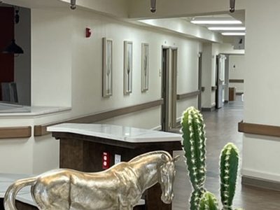 The Lodge of Saginaw Health and Wellness