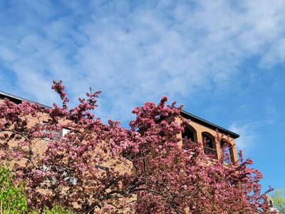 Benedictine Sisters Benevolent Association
