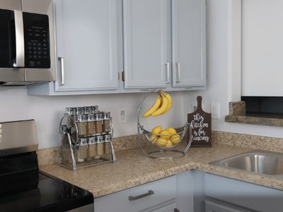 New Visions Assisted Living LLC
