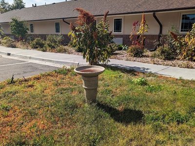 Open Arms Assisted Living