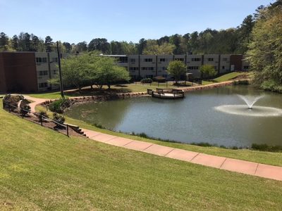 Village at Cook Springs
