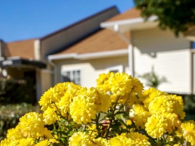 Peachtree Village, LLC