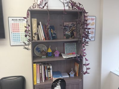 Anchorage Community Mental Health Services