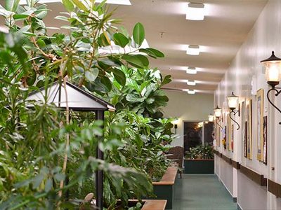 Gardens Al LLC