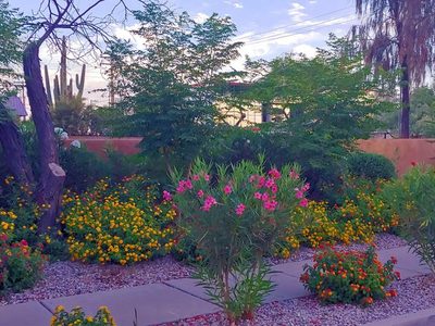 Pepper Tree Adult Care Home