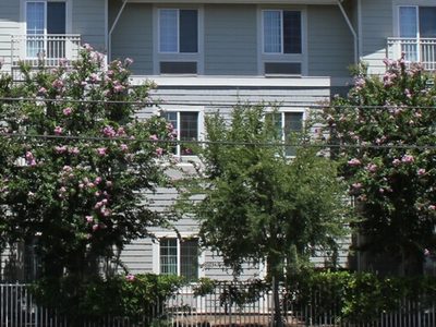 L.C. Hotchkiss Terrace