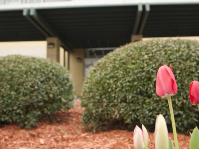 Ozark Health Nursing Center