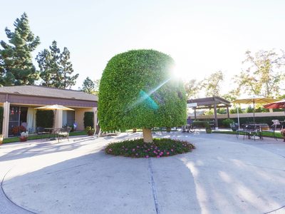 Country Villa La Mesa Healthcare Center